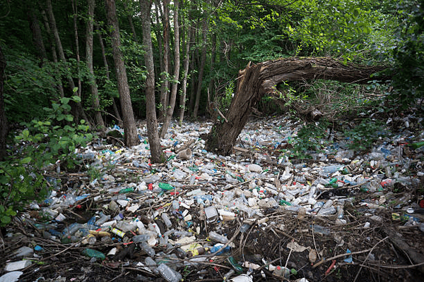 Forests drowning in plastic